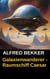 Galaxienwanderer - Raumschiff Caesar - Galaxienwanderer, #1