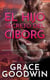 El Hijo Secreto del Ciborg - Programa de Novias Interestelares : La Colonia, #7