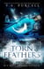 Torn Feathers - The Blue Portal