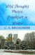Wild Thoughts Photos:  Frankfurt in Winter - Wild Thoughts Photos, #5