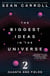 The Biggest Ideas in the Universe 2 - Quanta and Fields