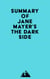 Summary of Jane Mayer's The Dark Side