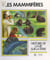 Les mammifères - Des reptiles mammaliens à l'Homo Sapiens