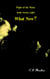 What Now? - Flight of the Maita, #28