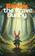 Benny-The Brave bunny