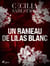 Un rameau de lilas blanc