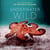 The Underwater Wild - My Octopus Teacher's Extraordinary World