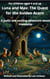 Luna and Max: The Quest for the Golden Acorn
