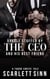Double Stuffed by the CEO and His Best Friend - The Office Toy, #2