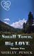 Small Town, Big Love - Volume Two - Reading Order Bundle, #2