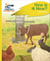 Reading Planet - How Is It Now? - Yellow Plus: Rocket Phonics