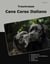 Traumrasse Cane Corso Italiano
