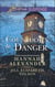 Countdown To Danger - Alive After New Year / New Year's Target