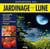 Initiation au jardinage avec la lune
