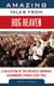 Amazing Tales from Hog Heaven - A Collection of the Greatest Arkansas Razorbacks Stories Ever Told