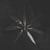 Dust And Disquiet
