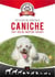 Tout ce qu'il faut savoir sur le caniche : Toy - Nain - Moyen - Géant