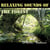 Relaxing sounds of the forest, pure nature