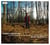Grande humoresque op.20 - sonate n°1 op.11 - CD