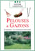 Pelouses & gazons : L'entretien - Les traitements préventifs