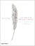 Set in style the jewelry of van cleef & arpels