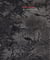 Zheng chongbin: impulse, matter, form