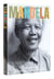 Mandela : in honor of an extraordinary life