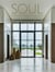 Soul : interiors by Orlando Diaz-Azcuy