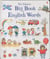 The usborne big book of english words
