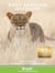 East African wildlife
