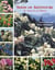 Seeds of adventure in search of plants