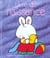 Livre de naissance