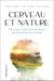 Cerveau et nature : pourquoi nous avons besoin de la beauté du monde