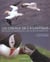 Les oiseaux de l'atlantique - des fjords du spitzberg au cap de bonne-esperance