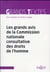 Les grands avis de la Comission nationale consultative des DDH