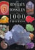 Mineraux et fossiles en 1000 photos