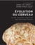 Évolution du cerveau et des capacités cognitives des hominidés fossiles