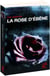 La rose d'ébène