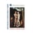 Litterature Et Identites Sexuelles