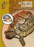 La tortue léopard - stigmochelys pardalis