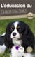 L'éducation du Cavalier King Charles : toutes les astuces pour un Cavalier King Charles bien éduqué
