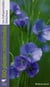 350 Plantes Medicinales