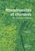 Monstruosités et chimères du monde végétal