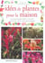 Idees de plantes pour la maison