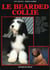 Bearded collie