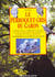 Le perroquet gris du gabon