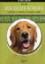 Mon golden retriever
