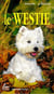 Le westie