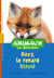 Animaux en détresse t.4 - Roxy, le renard blessé