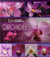 Lexiguide des orchidées